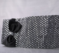 Diplomatica Accessori