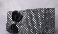 Diplomatica Accessori